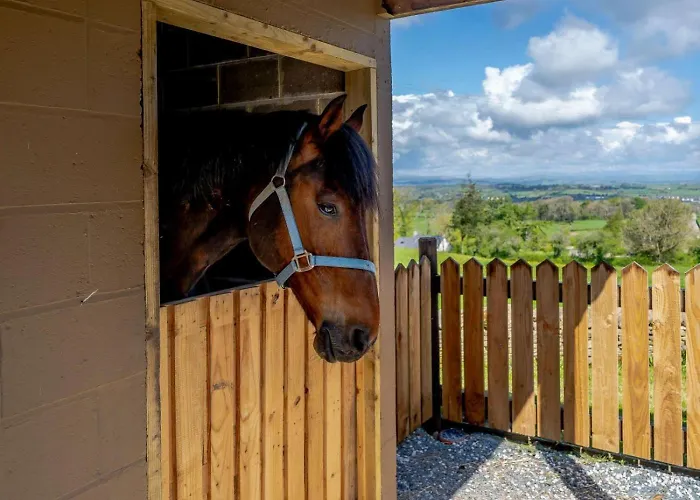 2 Bed In Lancaster Oc-82857 Beetham